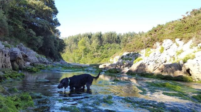 Apartamento Rural Lago Enol Cangas de Onis Bagian luar foto
